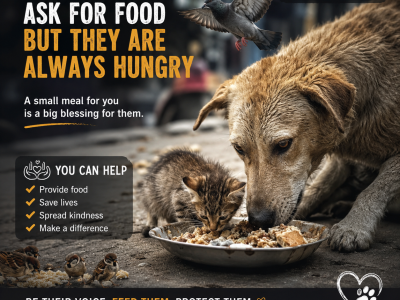 Mercy to animals brings mercy to humanity.” ?☀️